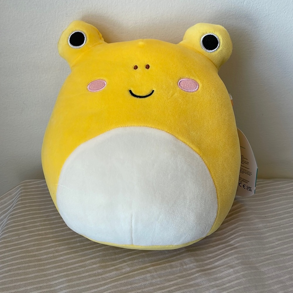 Frog Squishmallows (Leigh)